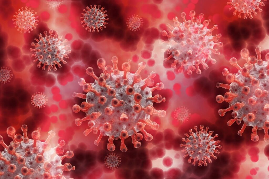 image of a virus