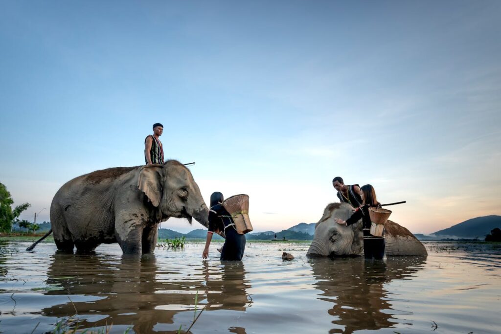 Largest Land Animals